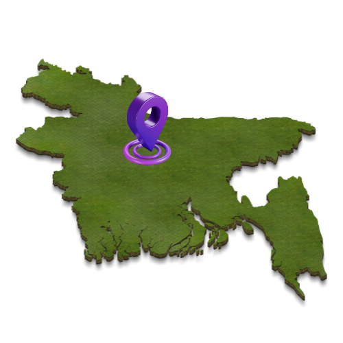 Local SEO in Dhaka